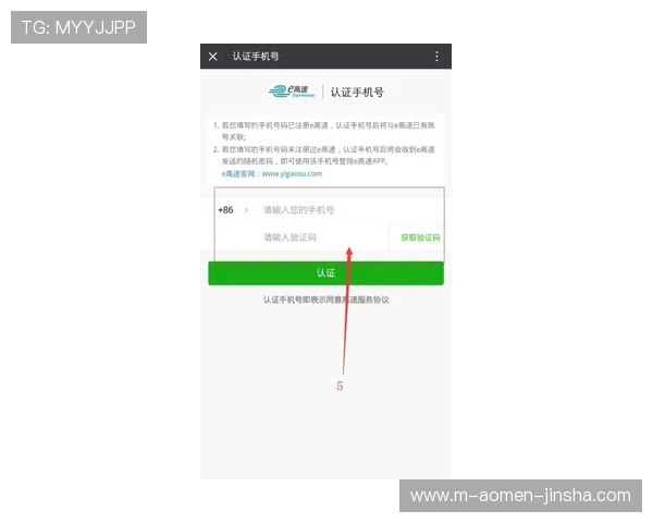 英皇注册登录入口安全性分析及保护措施，保障玩家账号信息安全