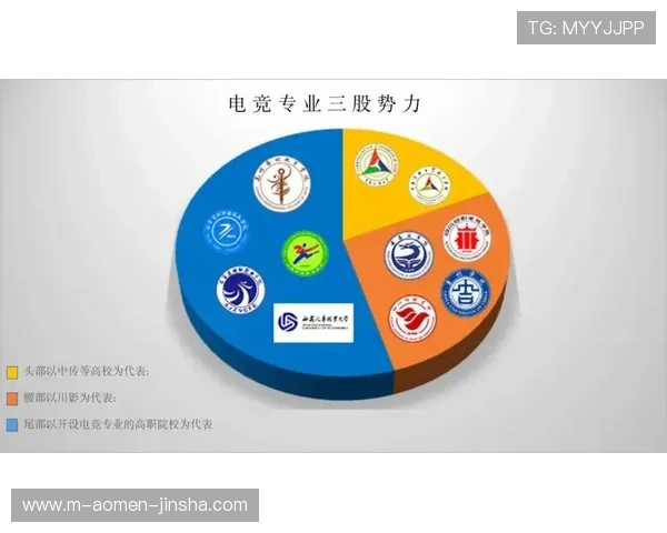 金沙电竞在线下载操作简便，快速安装无忧助你成为电竞高手
